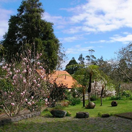 Вілла Bio Quinta Do Pantano, Agro Turismo Santo Antonio da Serra Екстер'єр фото