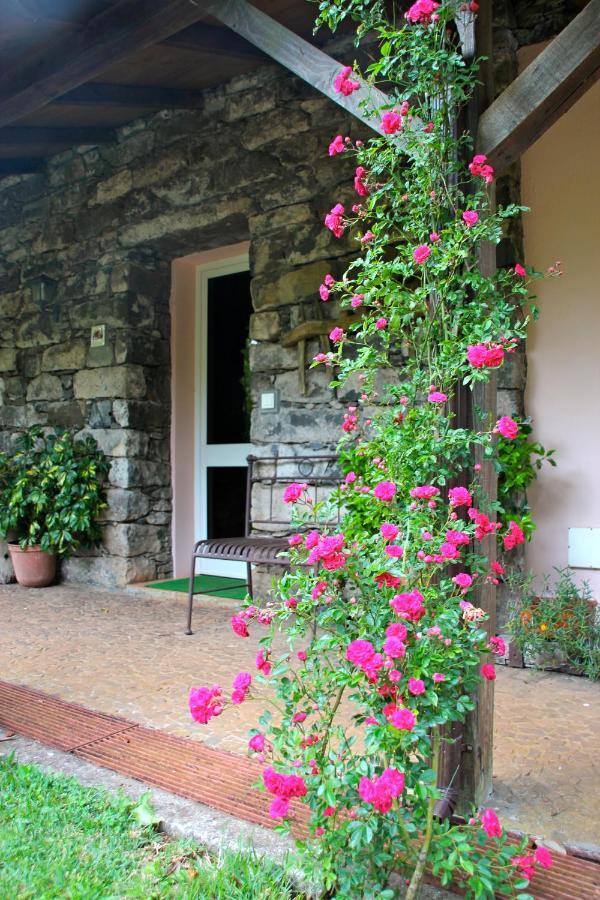 Вілла Bio Quinta Do Pantano, Agro Turismo Santo Antonio da Serra Екстер'єр фото