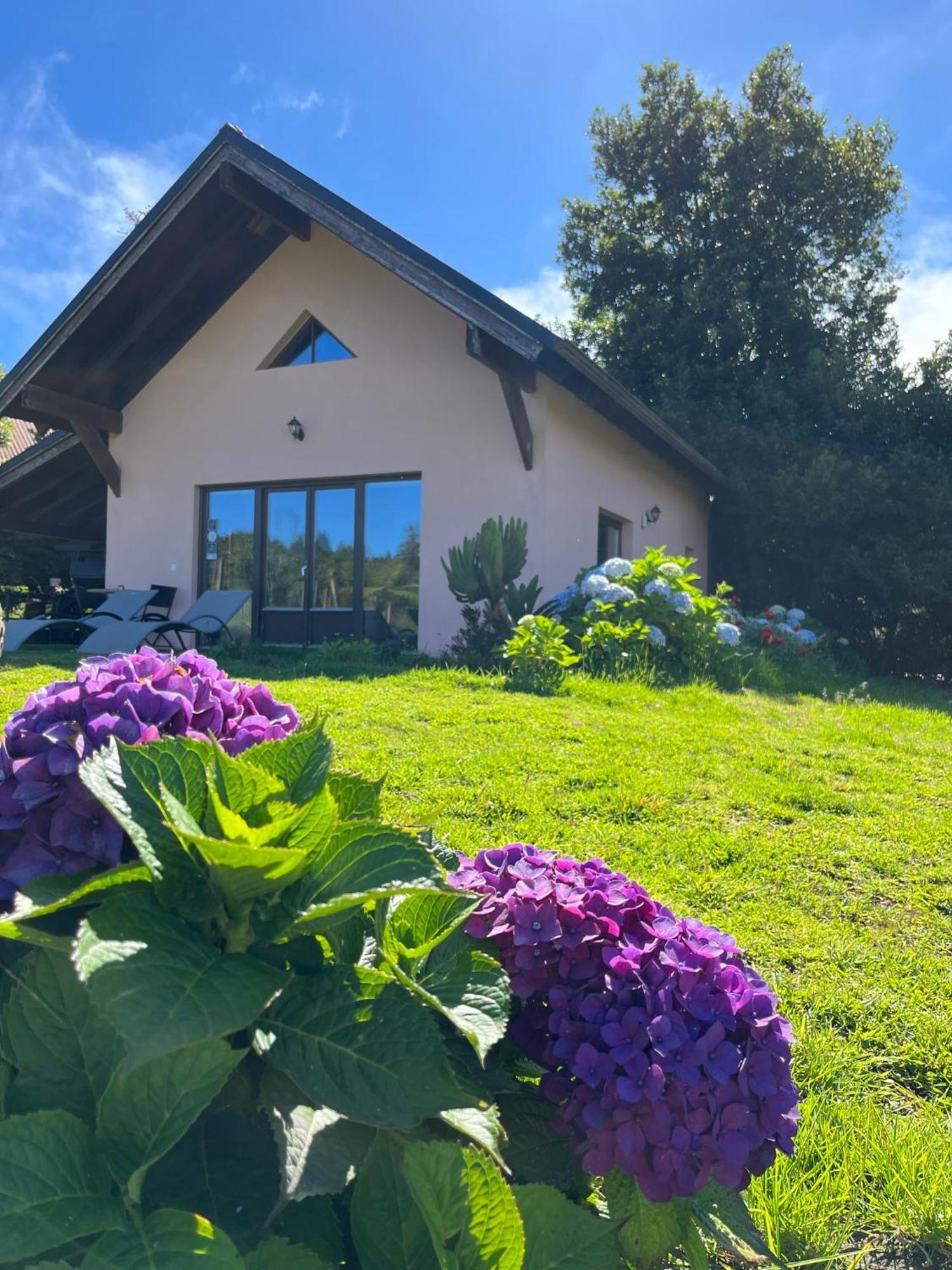 Вілла Bio Quinta Do Pantano, Agro Turismo Santo Antonio da Serra Екстер'єр фото