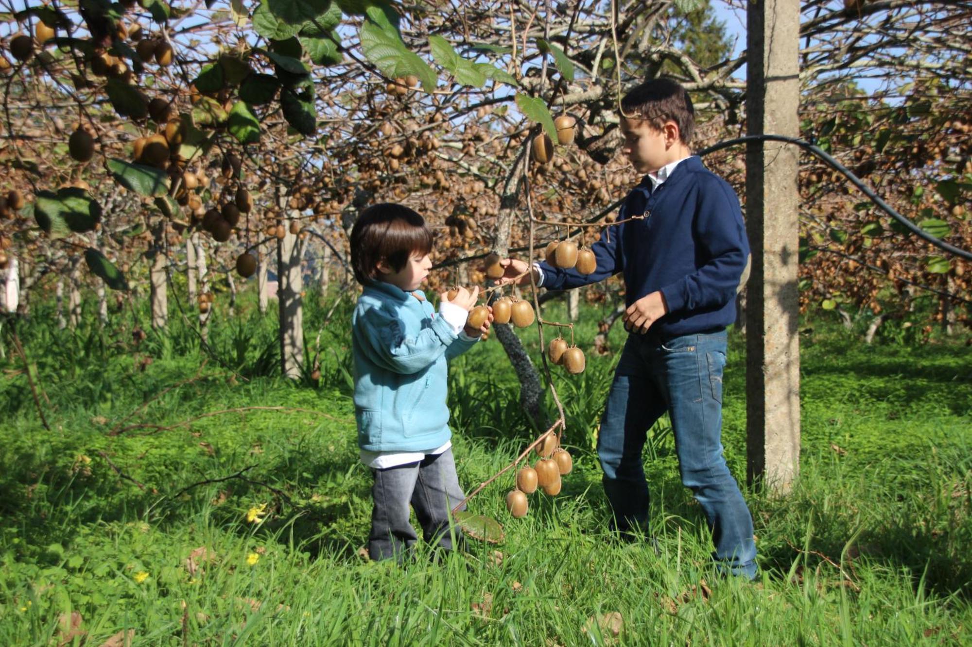 Вілла Bio Quinta Do Pantano, Agro Turismo Santo Antonio da Serra Екстер'єр фото