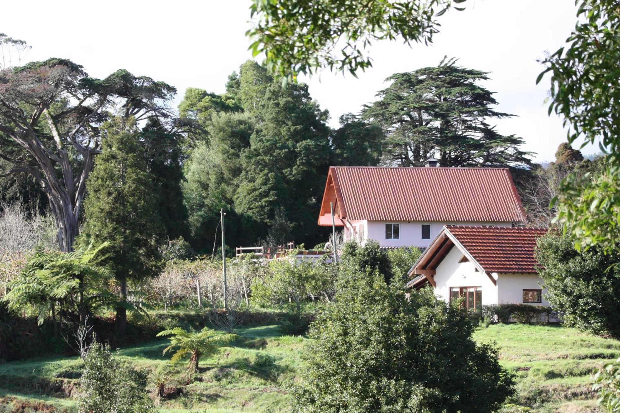 Вілла Bio Quinta Do Pantano, Agro Turismo Santo Antonio da Serra Екстер'єр фото
